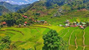 rizière-village-philippines