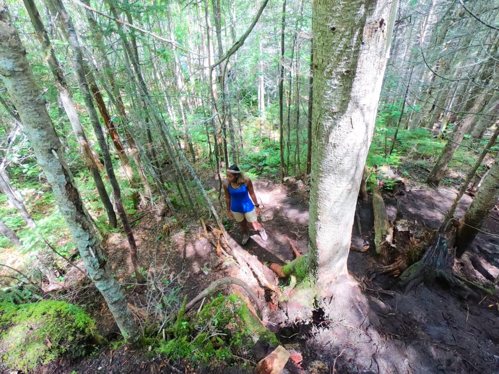 randonnée du mont menaud