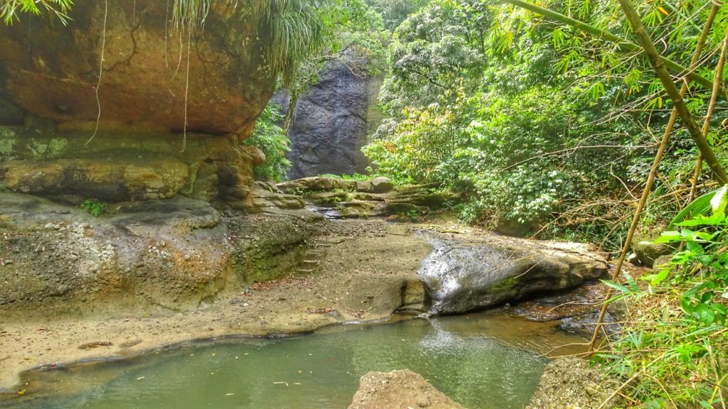 crique au milieu de la forêt tropicale de Sainte Lucie