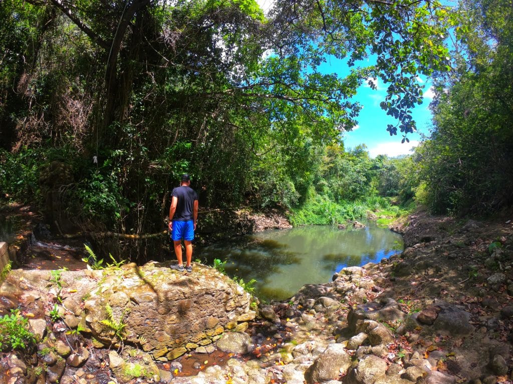 Anthony du blog de Partir Loin face à un cours d'eau en pleine forêt tropicale à Sainte Lucie