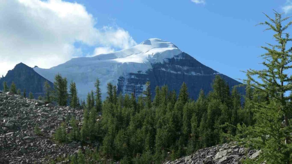 belle montagne enneigé en alberta