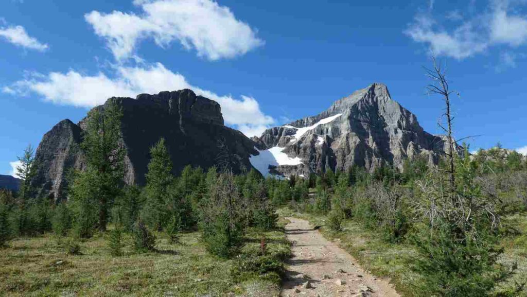 vue sur une montagne enneigé avec des arbres en arrière plan